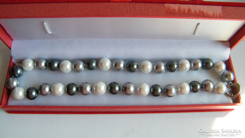 Large-eyed South Sea shell pearl