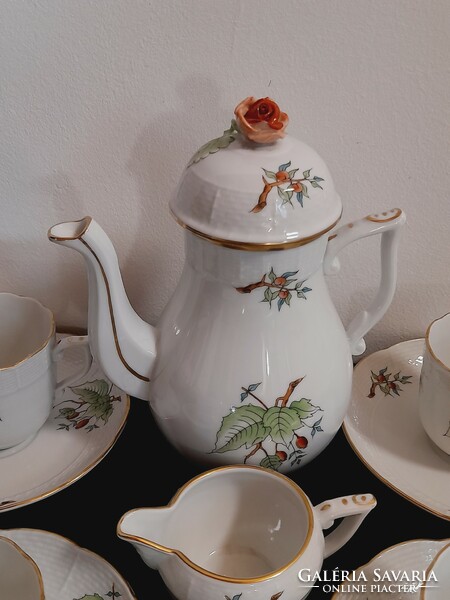 Herend rosehip coffee set with Hecsedli pattern, 5 cups