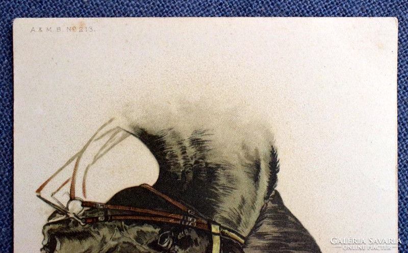 Antik A&M B üdvözlő képeslap lóportré