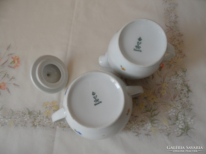 Bavaria porcelain sugar bowl and spout