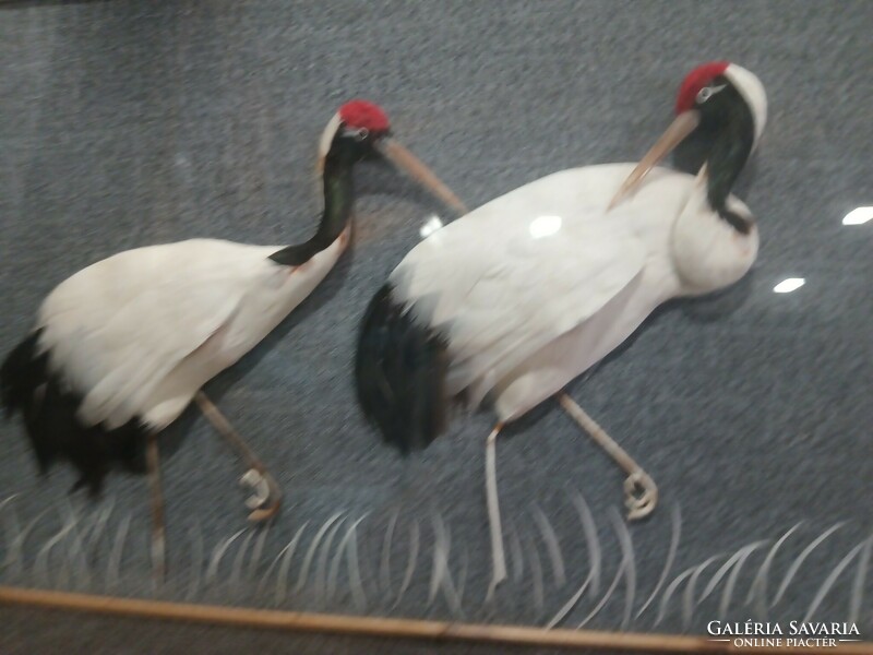 Chinese 3-dimensional crane bird image. Negotiable!