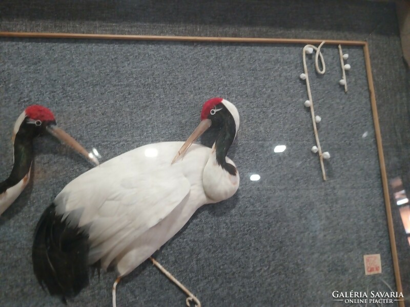 Chinese 3-dimensional crane bird image. Negotiable!