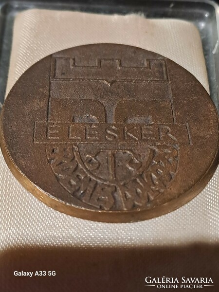 Bronze commemorative plaque for worthy worker of Élésker