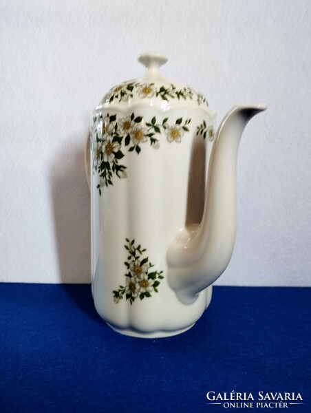 Seltmann Weiden German Bavarian porcelain jug