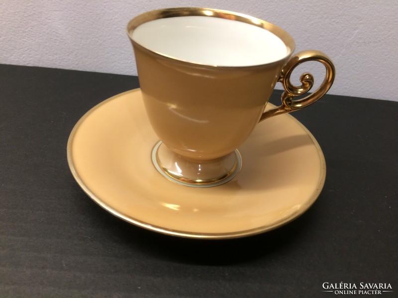 Vintage Tirscenreuth-Bavarian porcelain cup with bottom