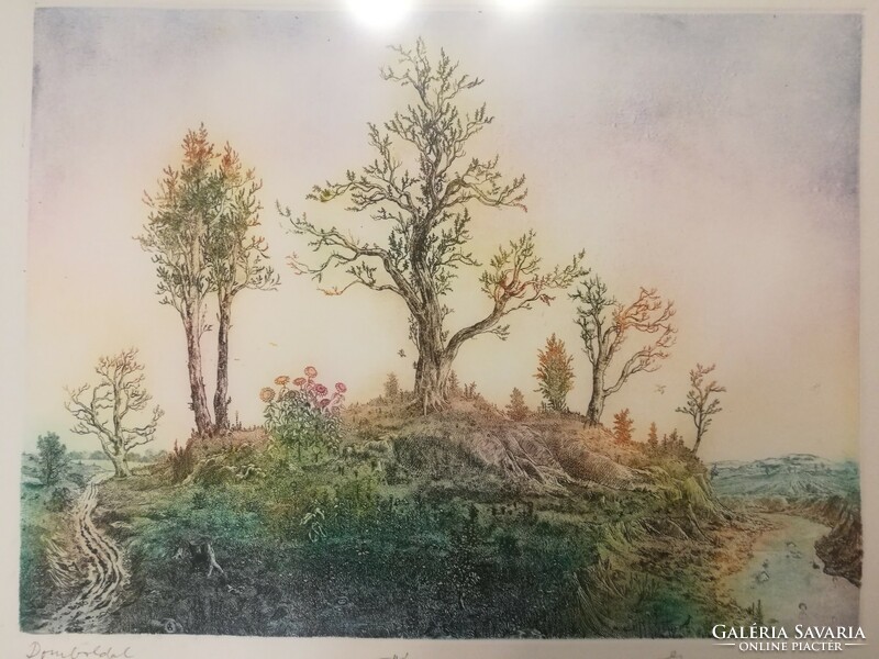 Gross arnold hillside, flawless etching