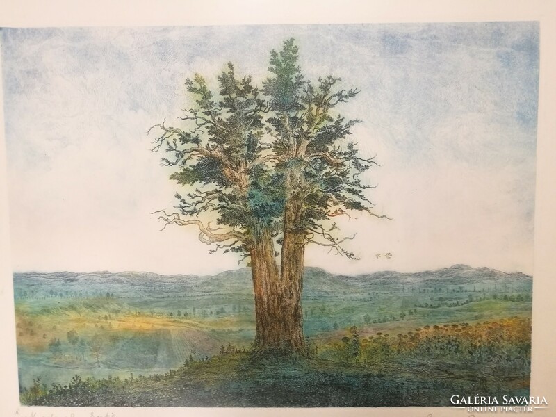 Gross arnold bird garden/solitary oak etching, rarity