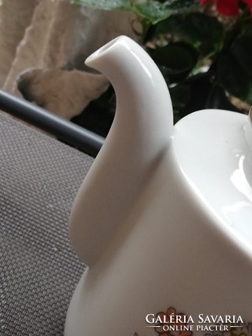 Henneberg atlas coffee and tea pot spout