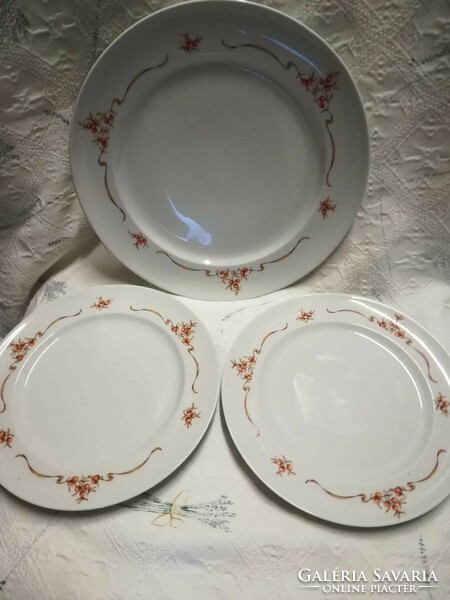 Alföldi porcelain rosehip pattern plate