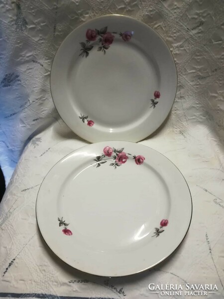 Lowland porcelain plate