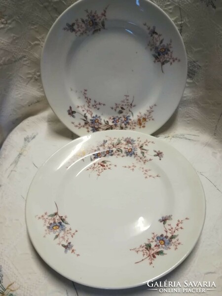 Porcelain flat plate