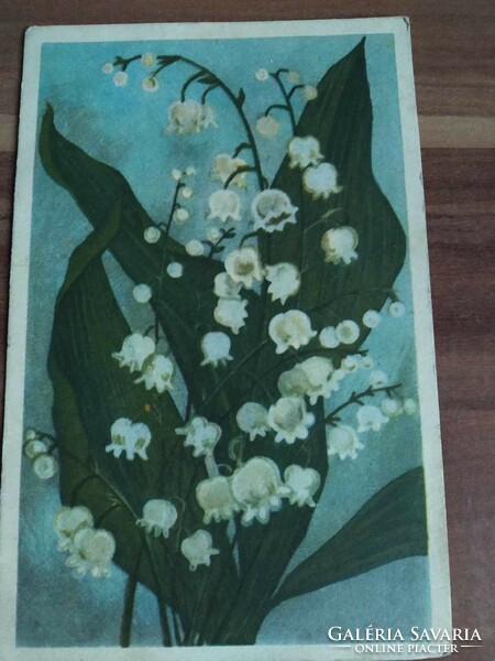 Old floral postcard, lily of the valley, drawing: Józsefné Domján, 1957