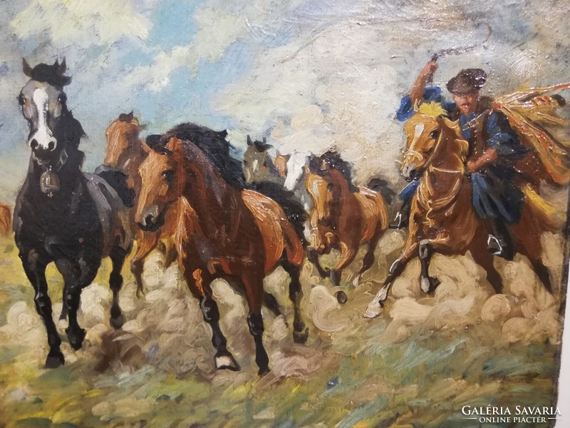 Béla Juzkó drives foal horses