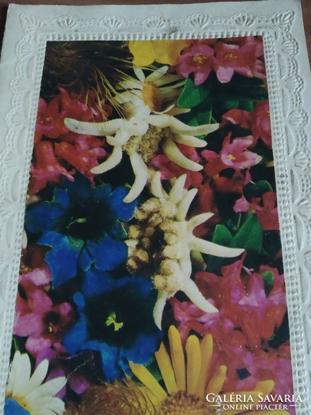 Old fold-out floral postcard from Baghdad, 1973