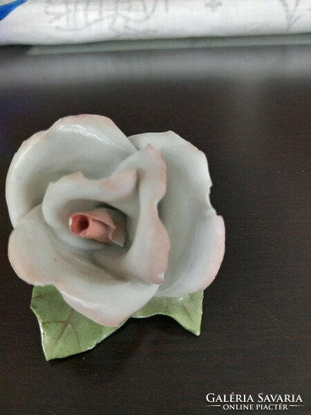 Aqvinkum rose hand-painted porcelain