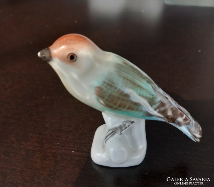 Aqvimkum porcelain bird