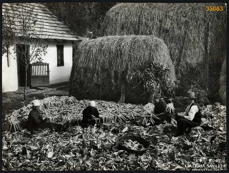 Larger size, photo art work by István Szendrő. Corn stripping in the yard of a village house, mob