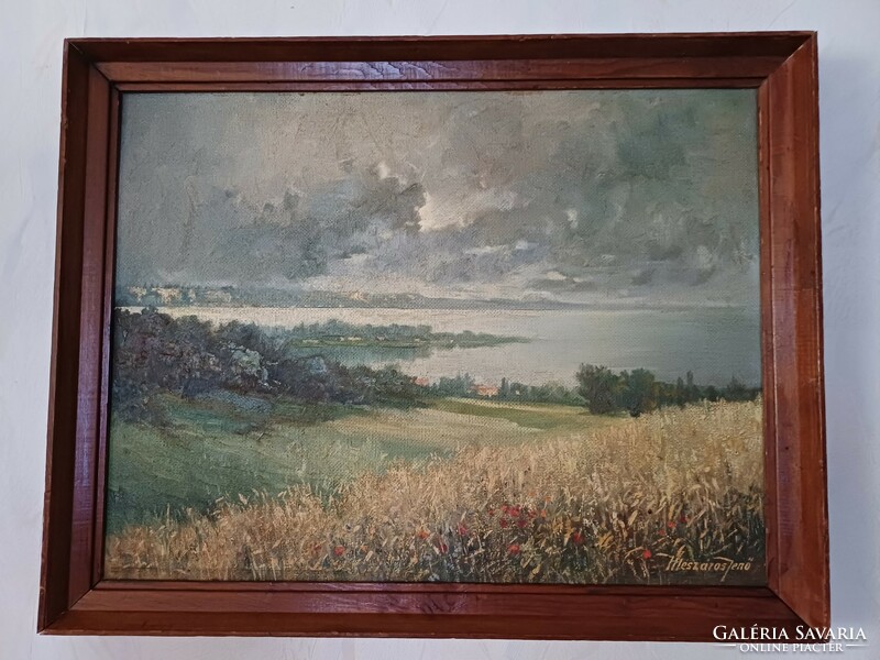 Beautiful Balaton painting, oil on wood.