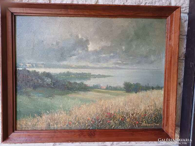 Beautiful Balaton painting, oil on wood.