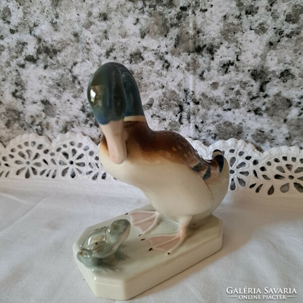Royal dux duck with frog