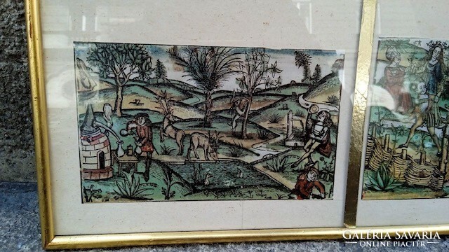 XIX. Century colored engravings, 10 x 15 cm, framed.