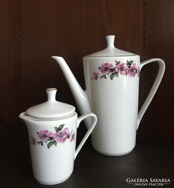Retro porcelain coffee and small milk jug