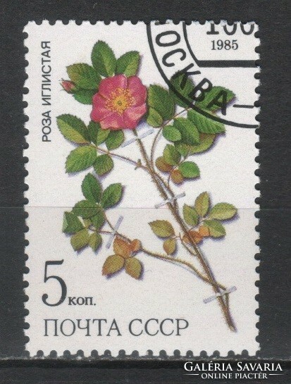 Stamped USSR 3695 mi 5530 €0.30