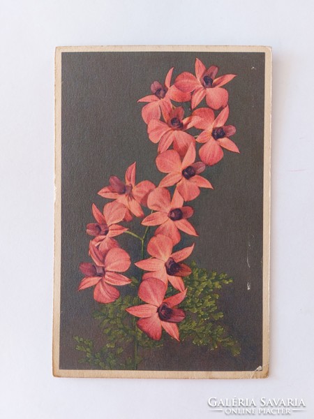 Old floral postcard