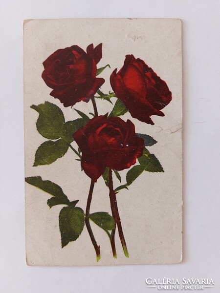 Old floral postcard