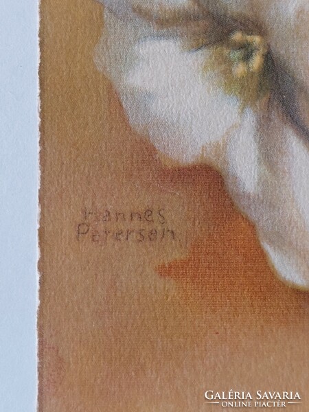 Régi képeslap Hannes Petersen művészrajz 1931 levelezőlap petúnia