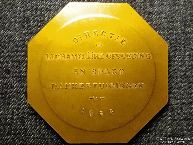 Holland sport emlékérem 1953 Testnevelés és sport elismerések (id79039)