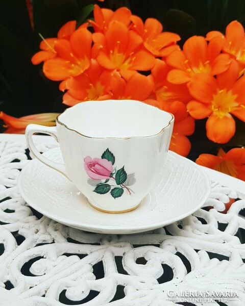 English beautiful rose bone china cup and saucer