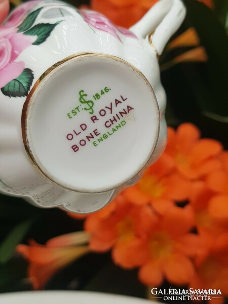 English beautiful rose bone china cup and saucer