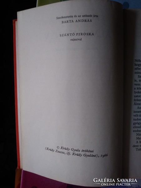 Gyula Krúdy dream book 1966
