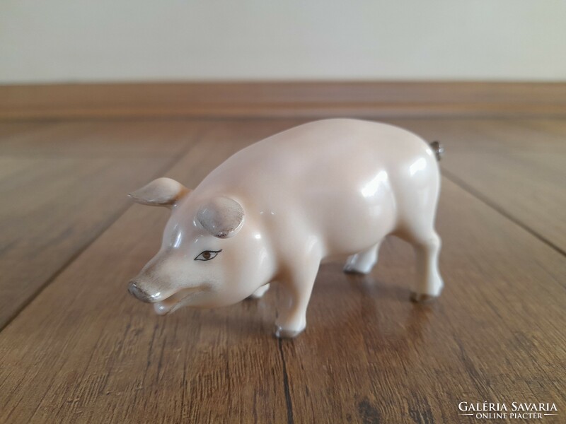 Herend jubilee pig