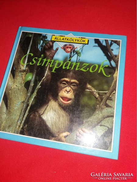1990. Kate Petty Csimpánzok gyermek ismeretterjesztő képes könyv:a képek szerinti TÜNDE