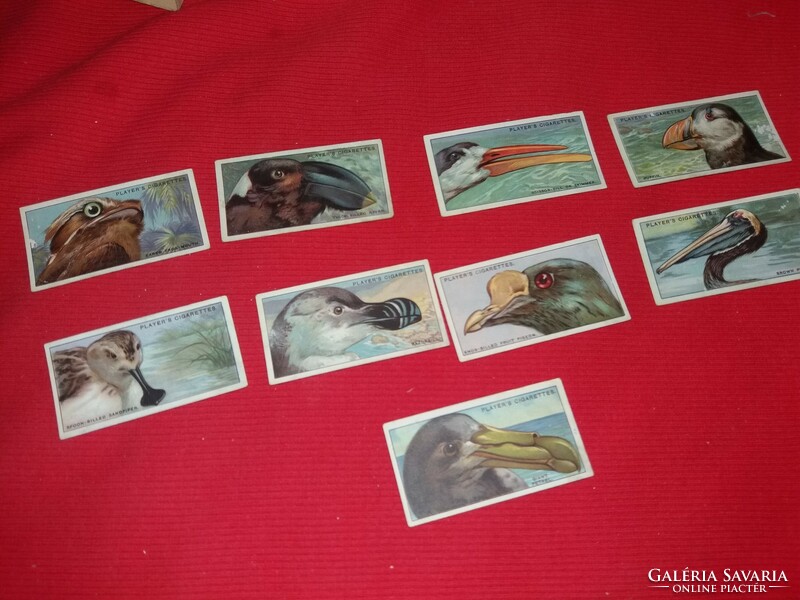 Antique 1930 collectible Kensitas cigarette advertising cards water and wading birds in one 18.