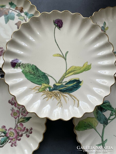 Antique w.T copeland & sons earthenware cake plate with 4 cake plates cc. 1867-90 Vgc