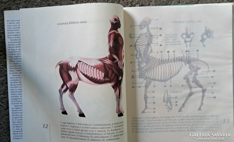 The natural history of the centaur is dedicated (Beni Makovecz)
