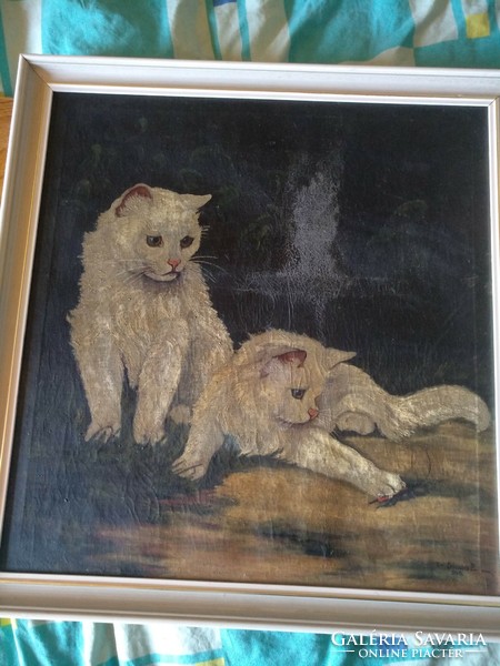 Oil painting kittens, cats, signed, framed, negotiable