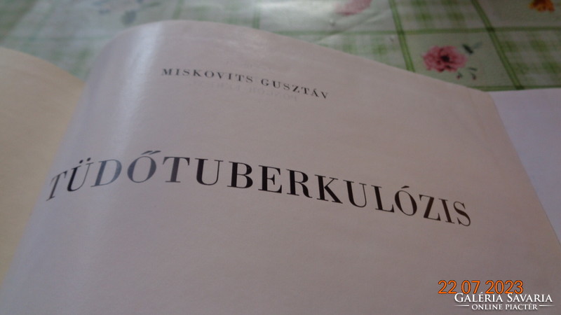 A tuberkolózis  írta Miskovics Gusztáv  , 1966 , egyetemi tankönyv ,