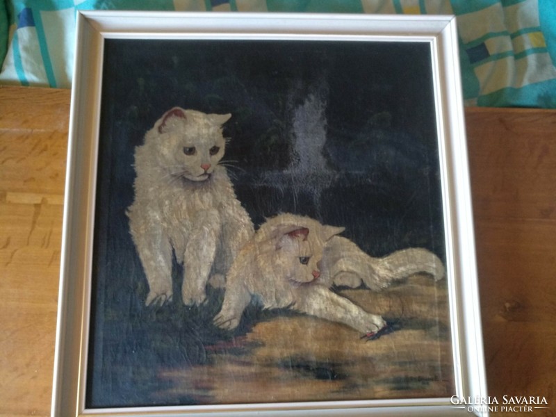 Oil painting kittens, cats, signed, framed, negotiable