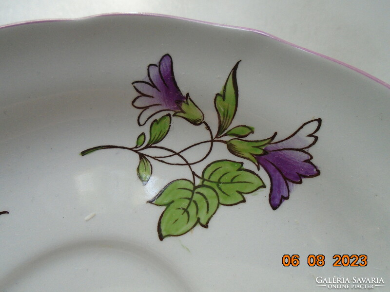 Spode hand painted majolica marlborough sprays floral design with chocolate cup coaster