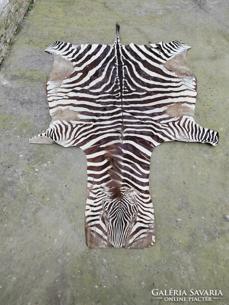 African zebra skin, carpet 250x160 cm