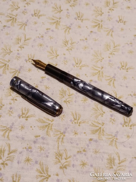 Iridium point-old fountain pen in leather case