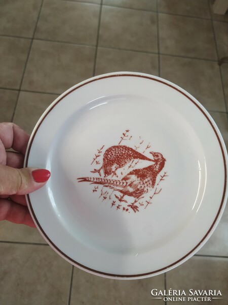 2 Zsolnay porcelain pheasant pattern plates for sale!