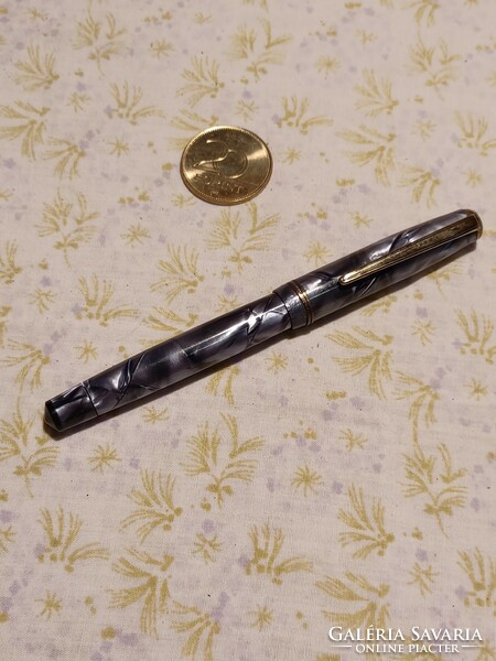 Iridium point-old fountain pen in leather case