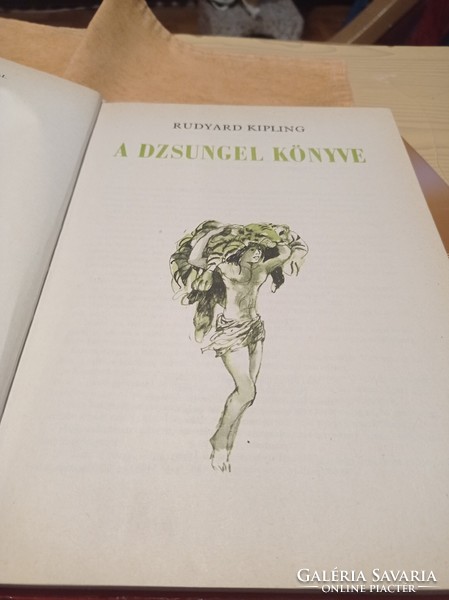 Dzsungel könyve