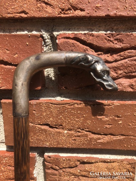 Walking stick with silver dog head