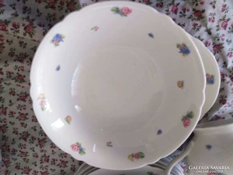 Marie - luise / Bavarian dining room set - porcelain